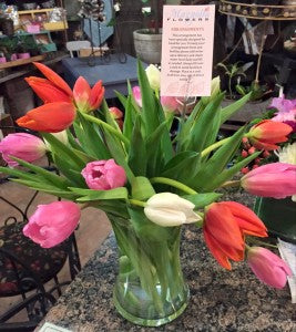 My First Blog post and the Unruly Tulips