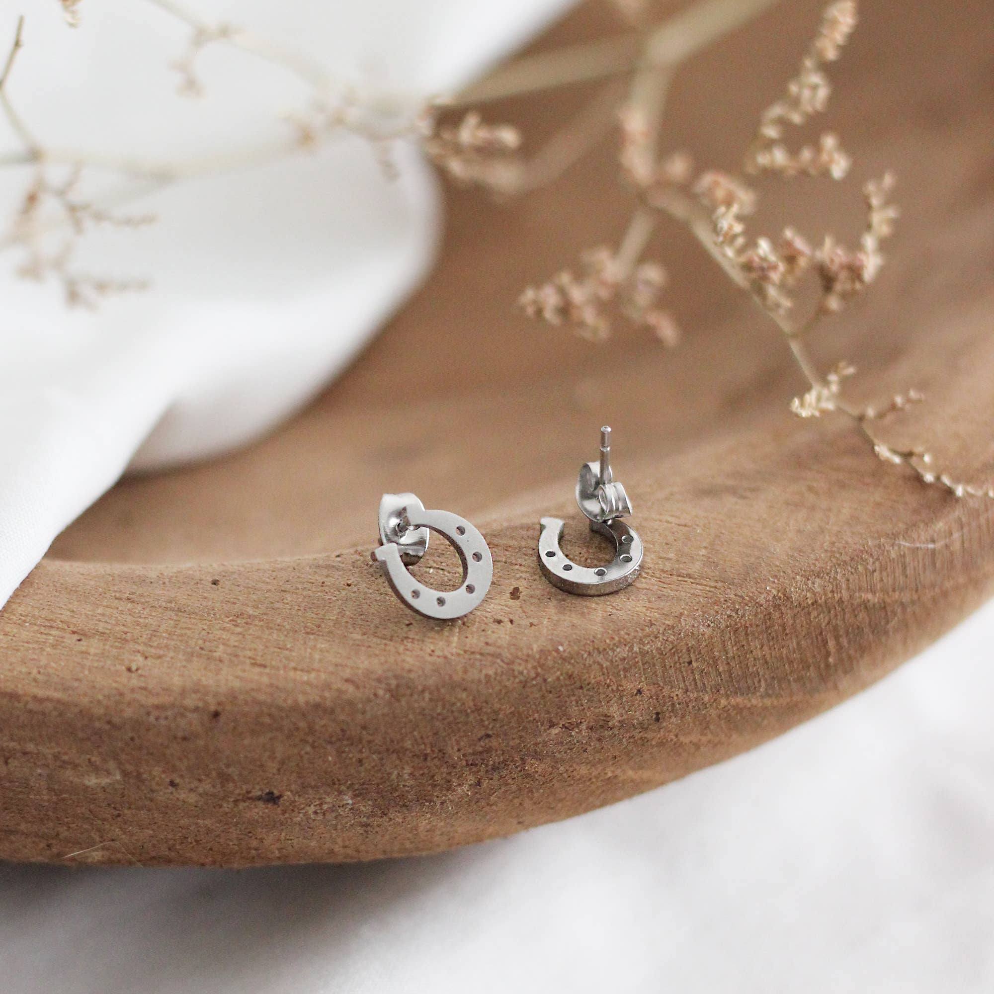 Mini Horseshoe Earrings (Silver)