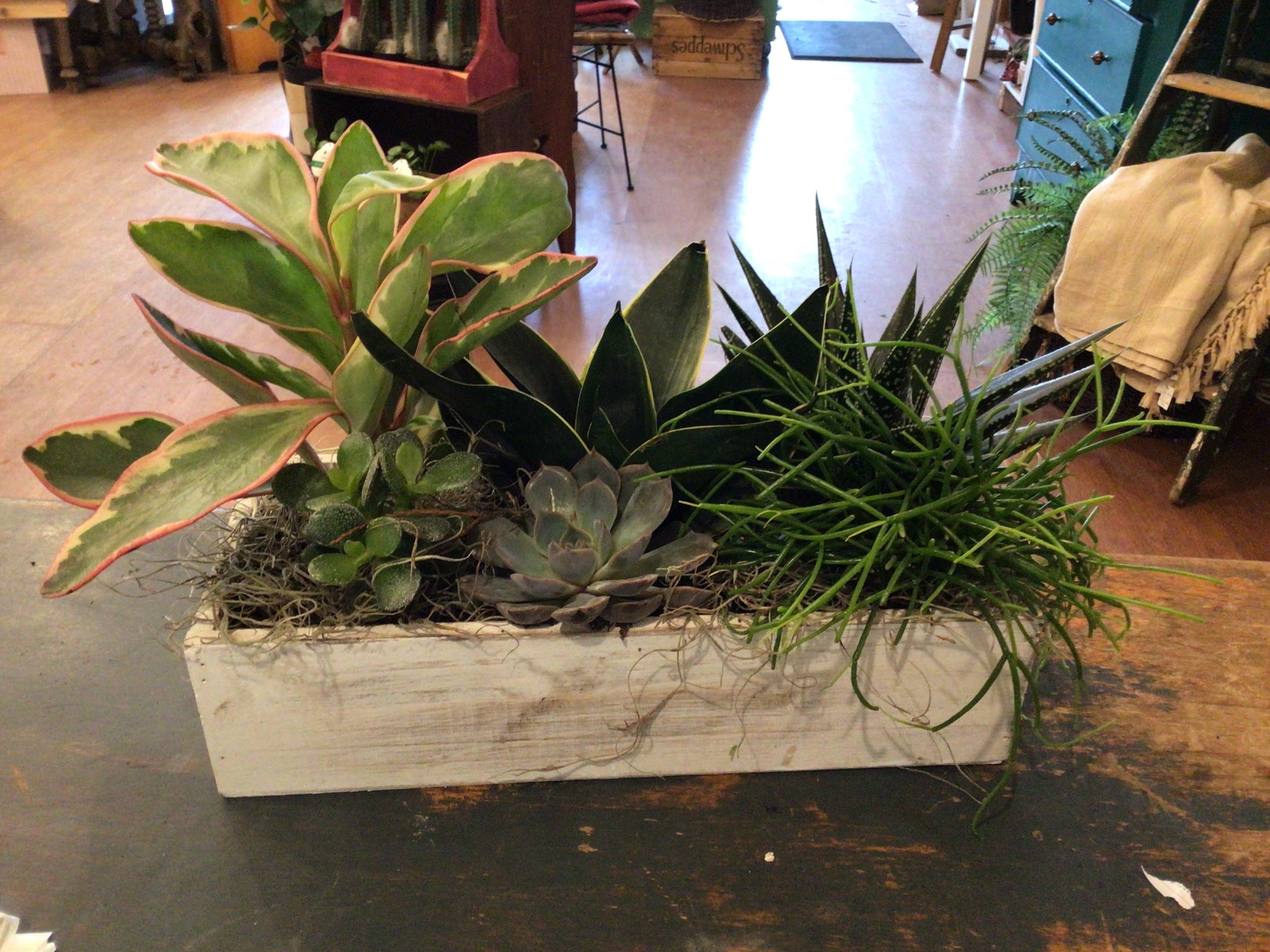 Rustic wood box succulent planter