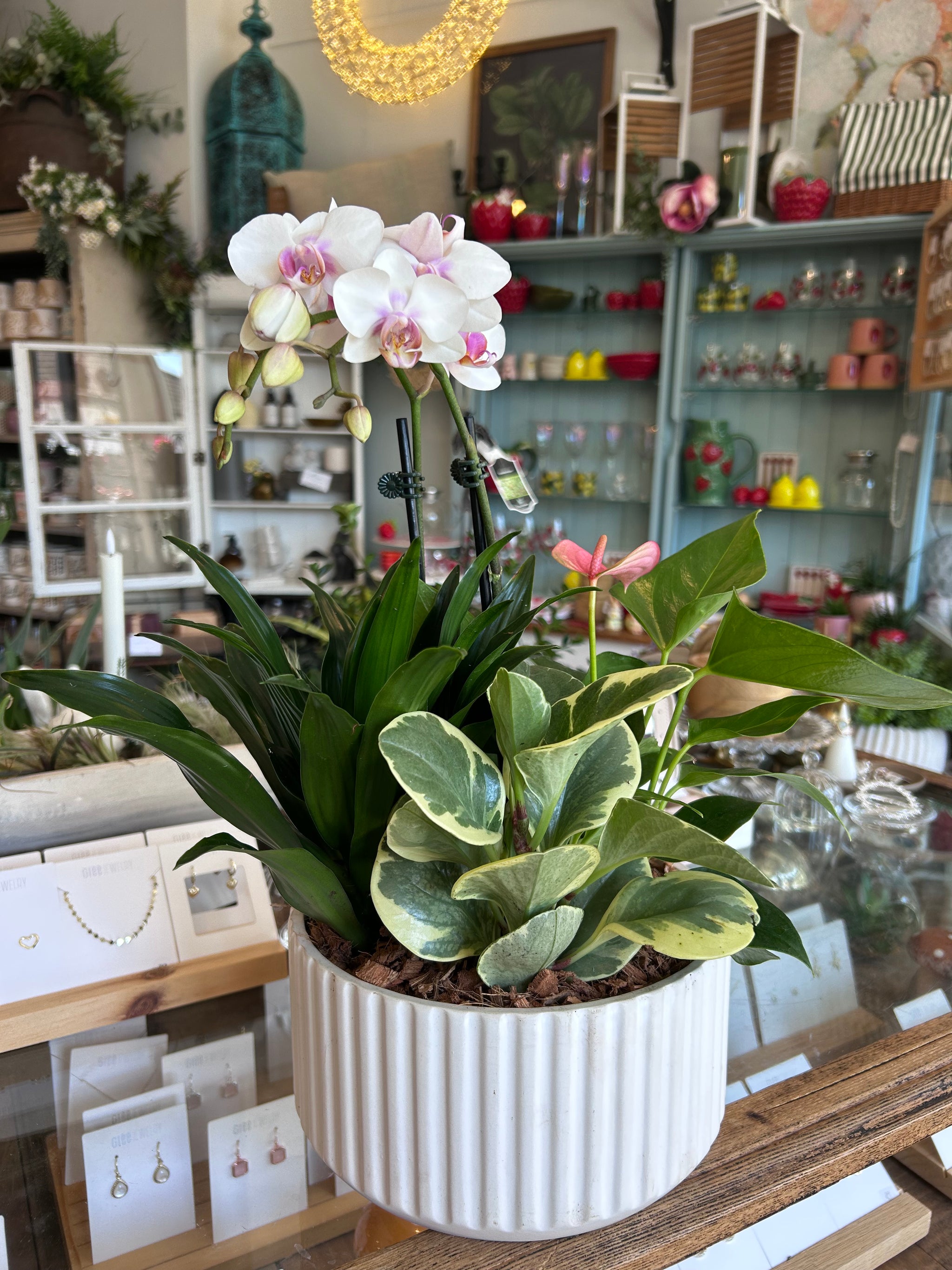 Mother’s Day orchid tropical planter