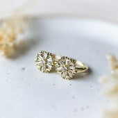 Frosted Hoops