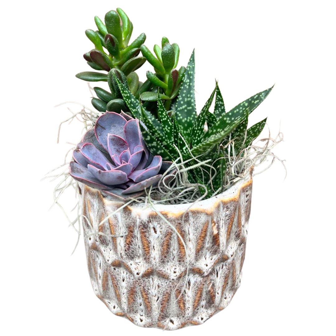 I Don’t Give a Succulent Planter