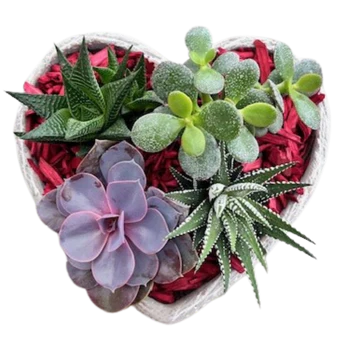 Heart Succulent Planter