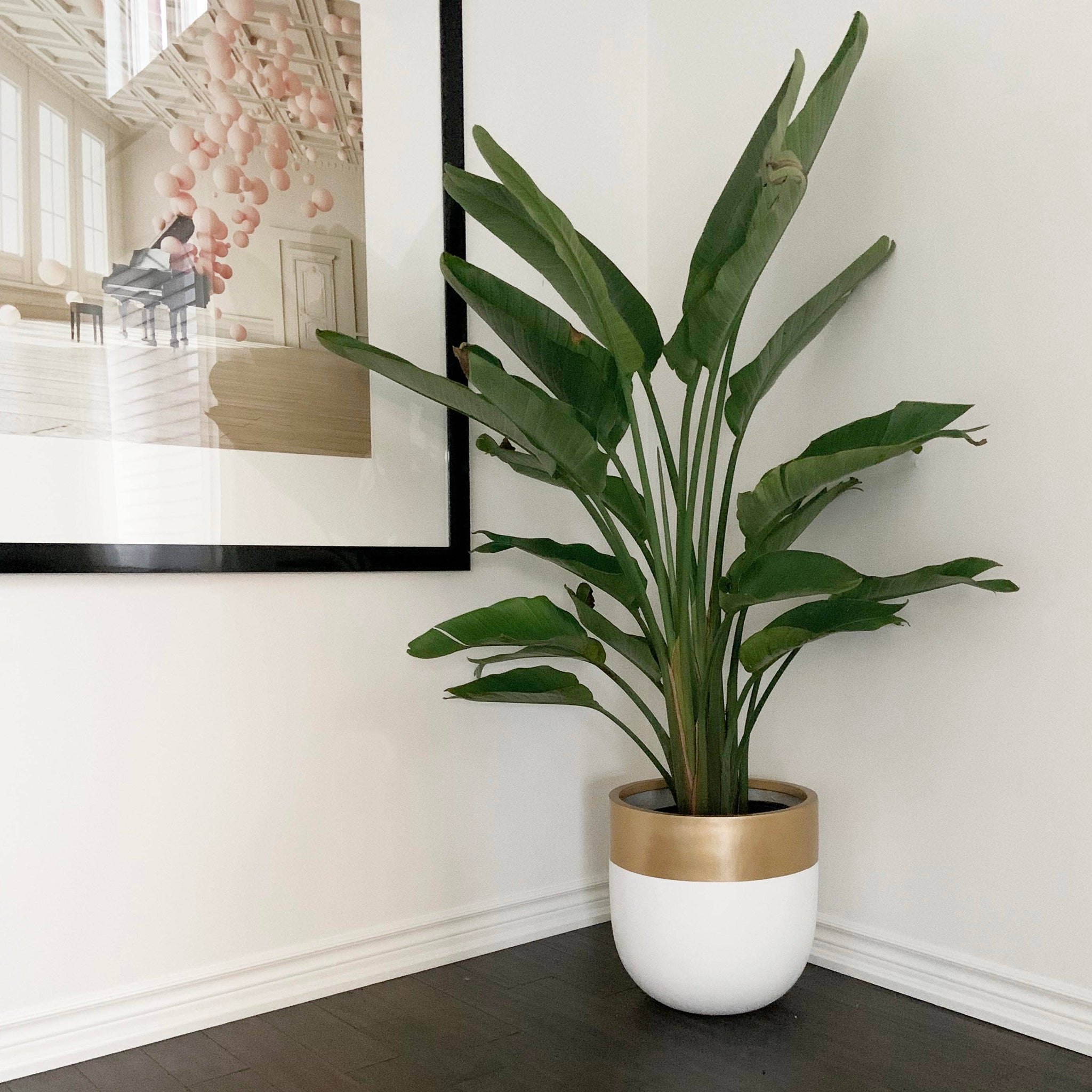 AURUM POT | PLANTER