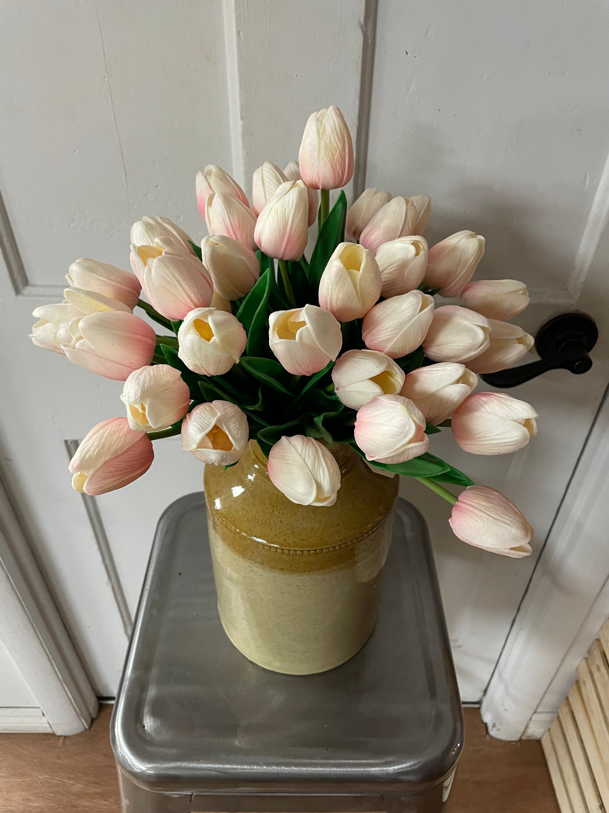 Everlasting Tulips