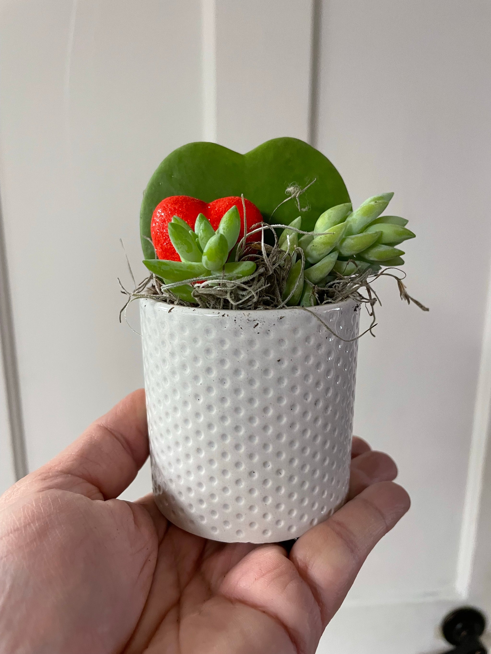 Mini Heart Planter