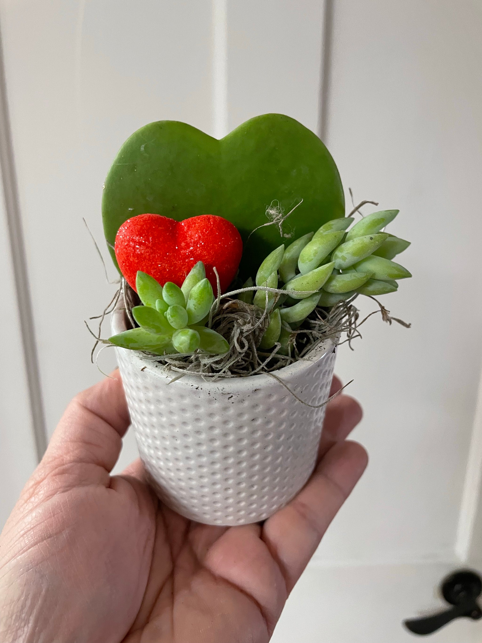 Mini Heart Planter